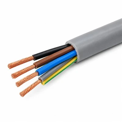 YY Control Cable